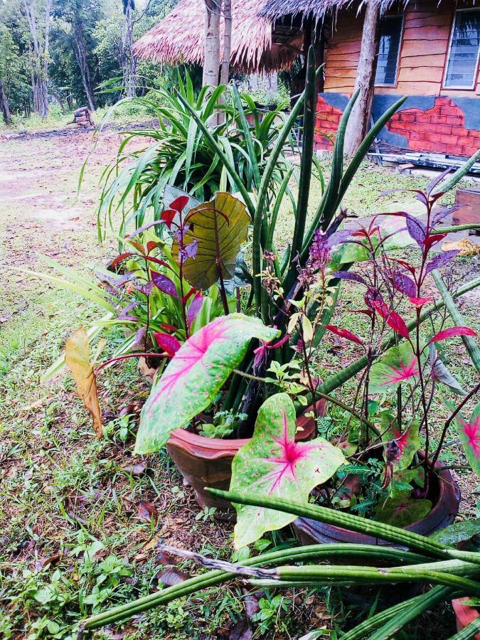 Baan Jing Jai Homestay Resort Lanta Ko Lanta Kültér fotó